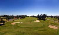 mas palomas golf course